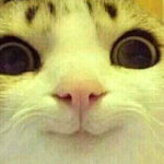 Всесвітній день «спасибі» — 11 січня 2025