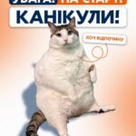 Весняні канікули 21.03-29.03.2026